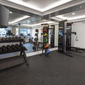 Train Strong, Live Easy