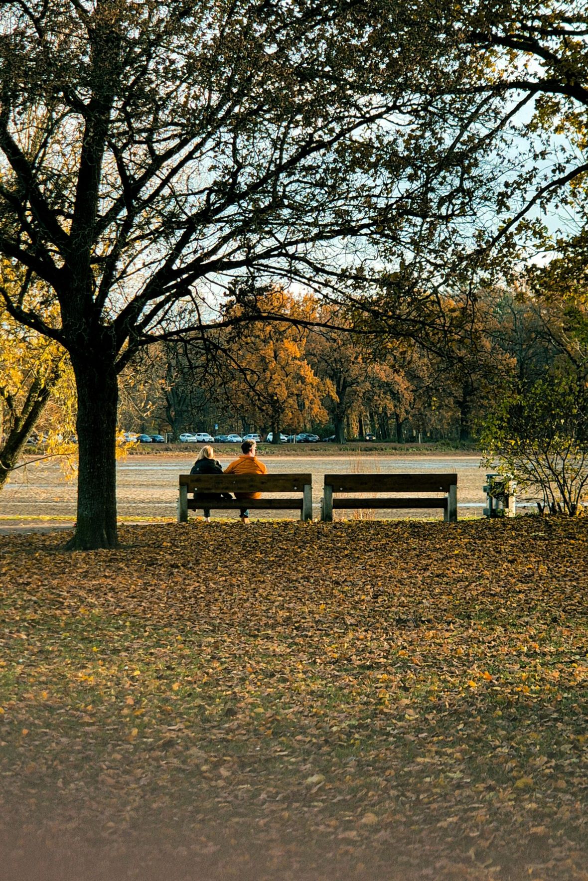 Hickory Manor Empty outdoor tennis court with nets, surrounded by trees and buildings, under a partly cloudy sky.