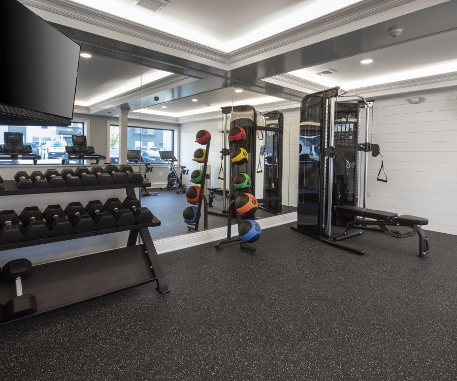 Hickory Manor Modern gym room with dumbbells, medicine balls, weight machine, and mirrored walls.