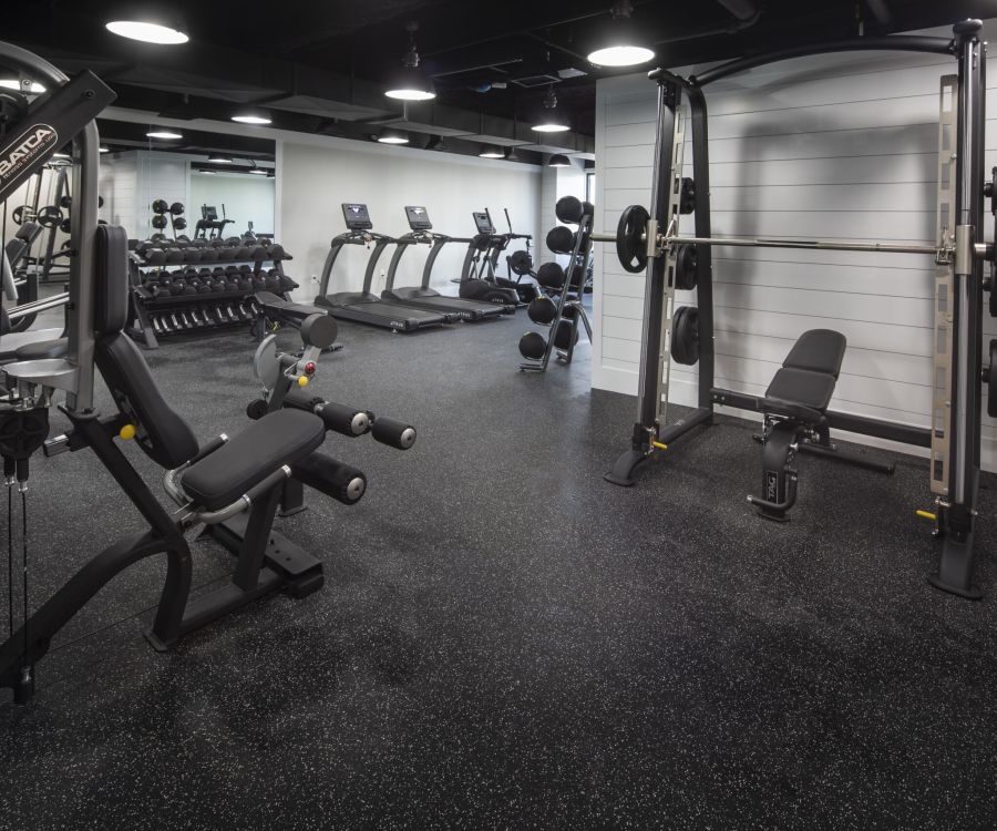 Modern gym with cardio machines, free weights, a weight bench, and exercise equipment on rubber flooring.