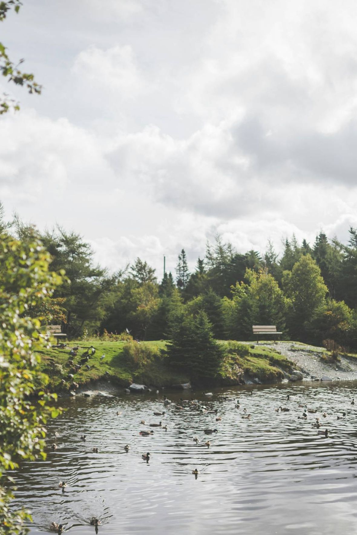 Legion Manor A vintage clock stands in a plaza with blooming trees and a domed building in the background.