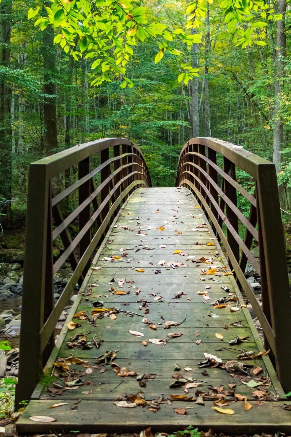 Linden Apartments A vintage clock stands in a plaza with blooming trees and a domed building in the background.