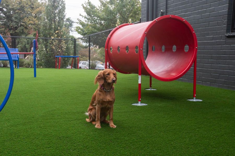 Linden Apartments Small package room with shelves, a bulletin board, and packages on the floor and shelf.