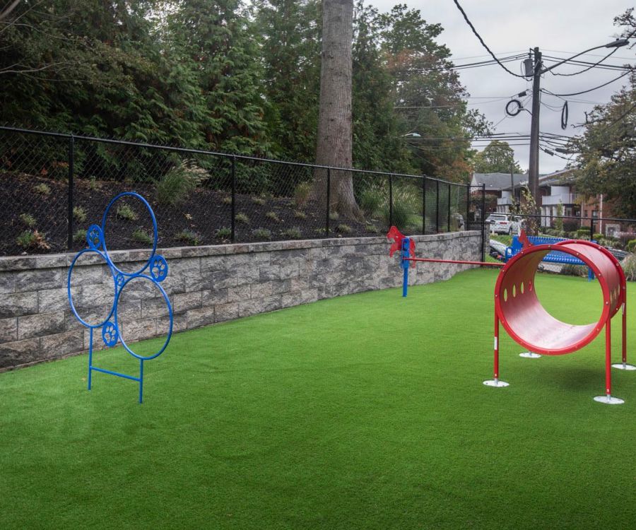 Outdoor dog agility area with green turf, blue hoops, and a red tunnel, surrounded by a fence and trees.