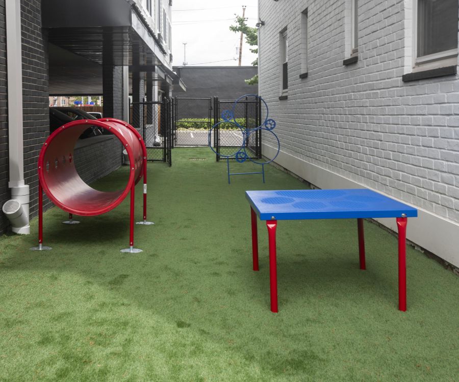 Hickory Manor Outdoor dog play area with a red tunnel, blue table, and agility equipment on artificial grass.