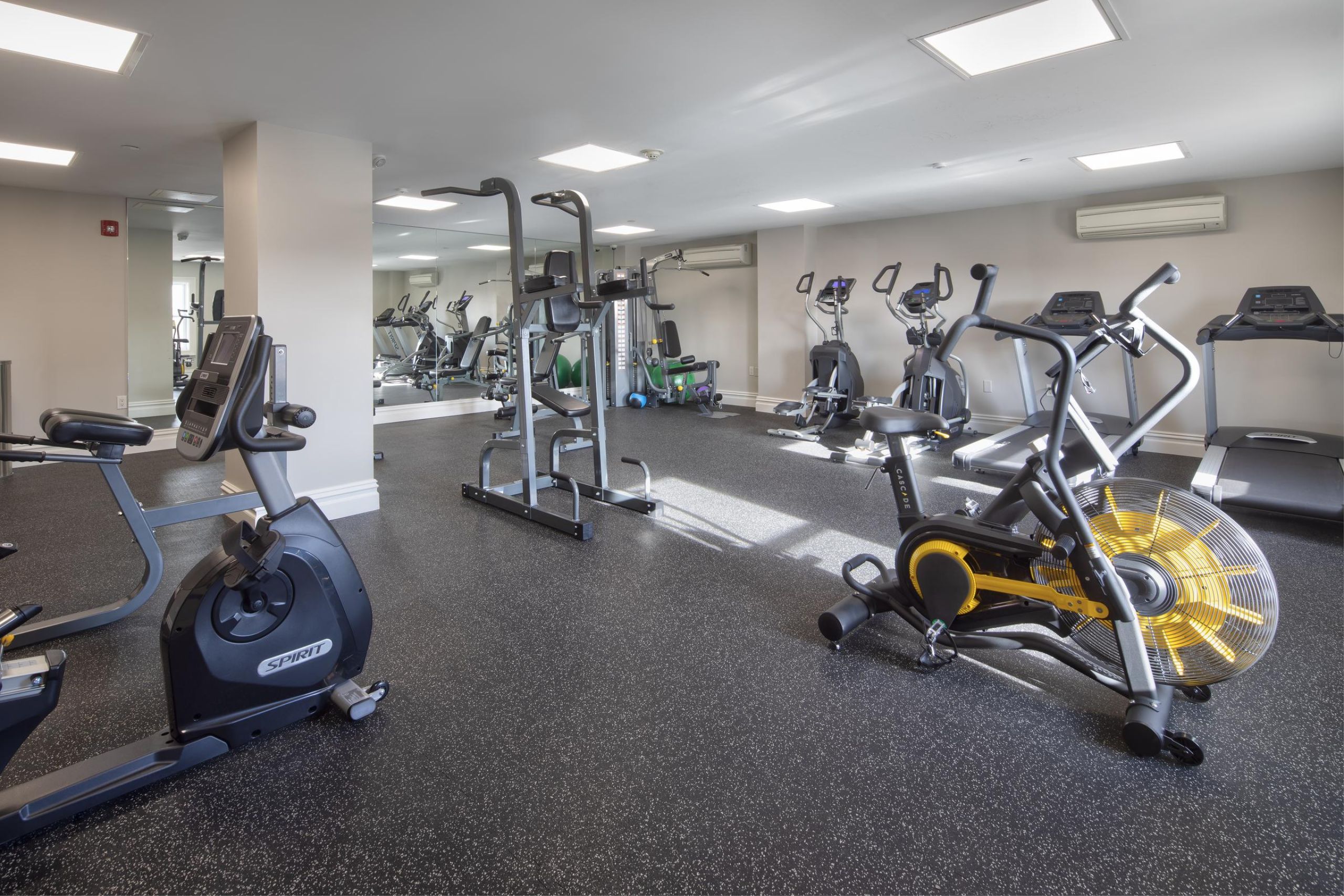 The Atrium Outdoor contemporary swimming pool