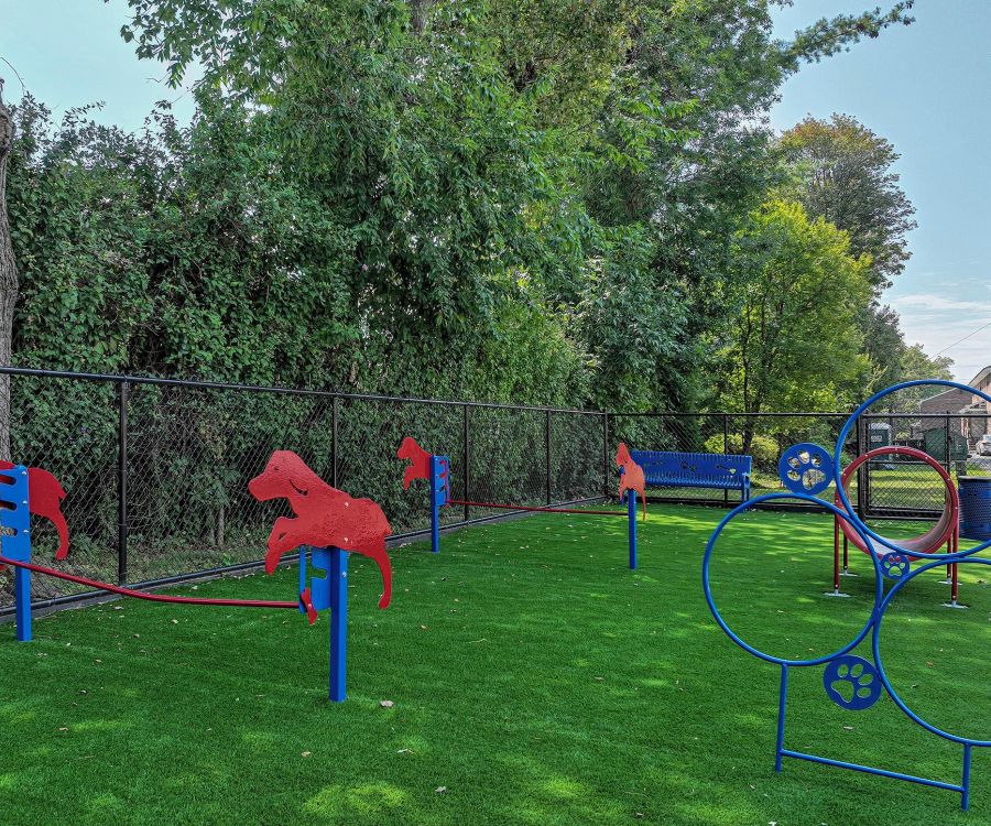 Outdoor dog park with agility equipment, including red dog cutouts and blue hoop obstacles on green artificial turf.