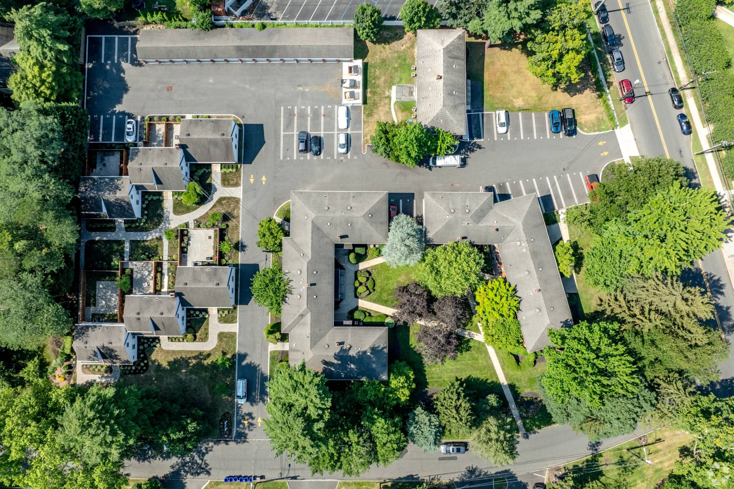 The East Hill Portrait of Blonde woman in a pantsuit