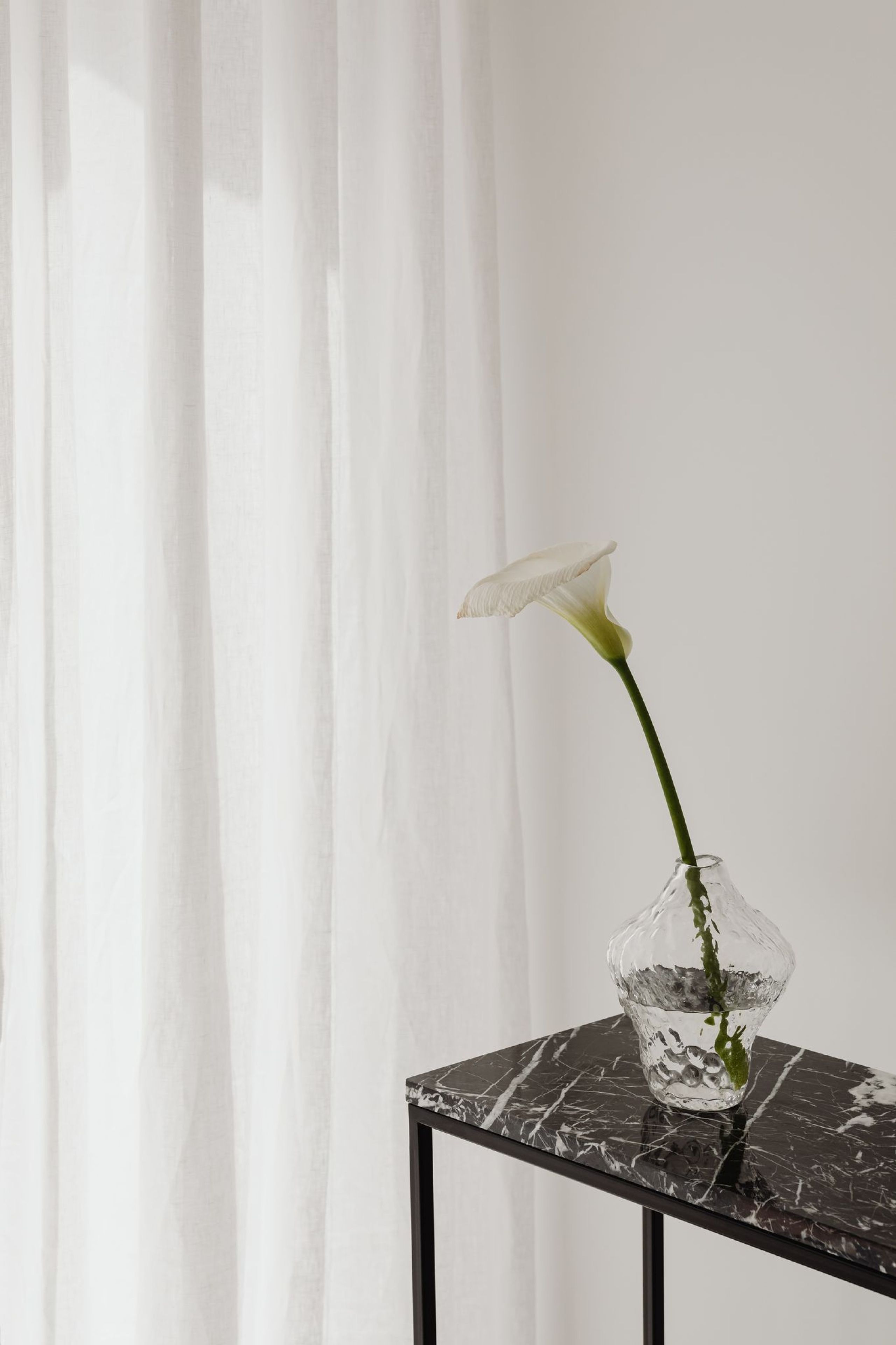 West Church Gardens Glass vase on black marble table with cut orchid and white curtain