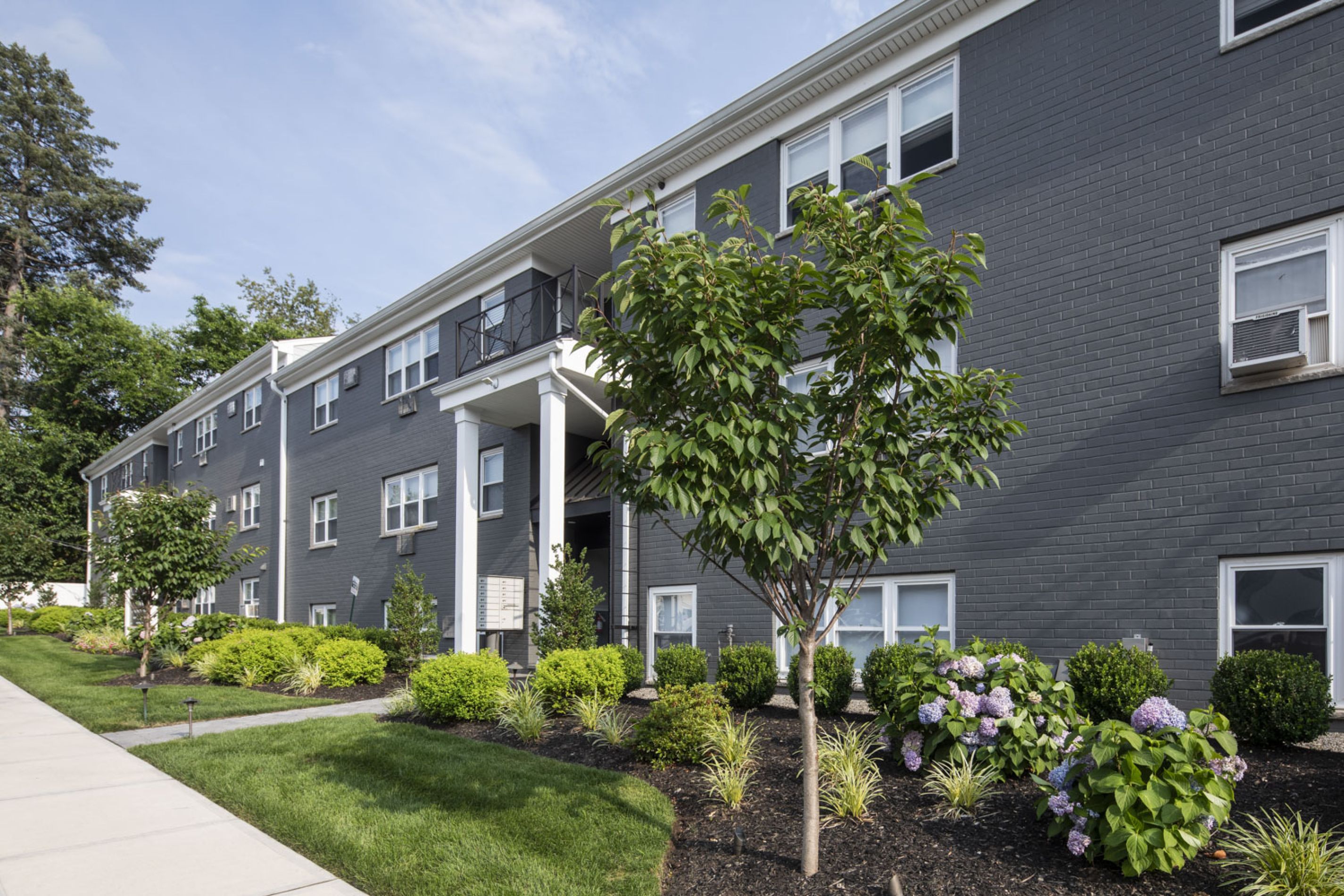 A modern gray apartment building with white trim, landscaped bushes, and small trees along a sidewalk.